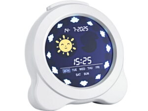 Artiss 3.8" Digital Day Clock Calendar Alarm LCD Display White