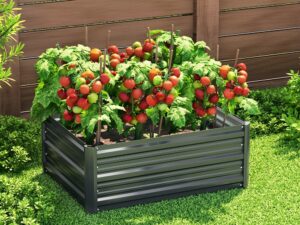 Green Fingers Garden Bed 80X60X30cm Planter Box