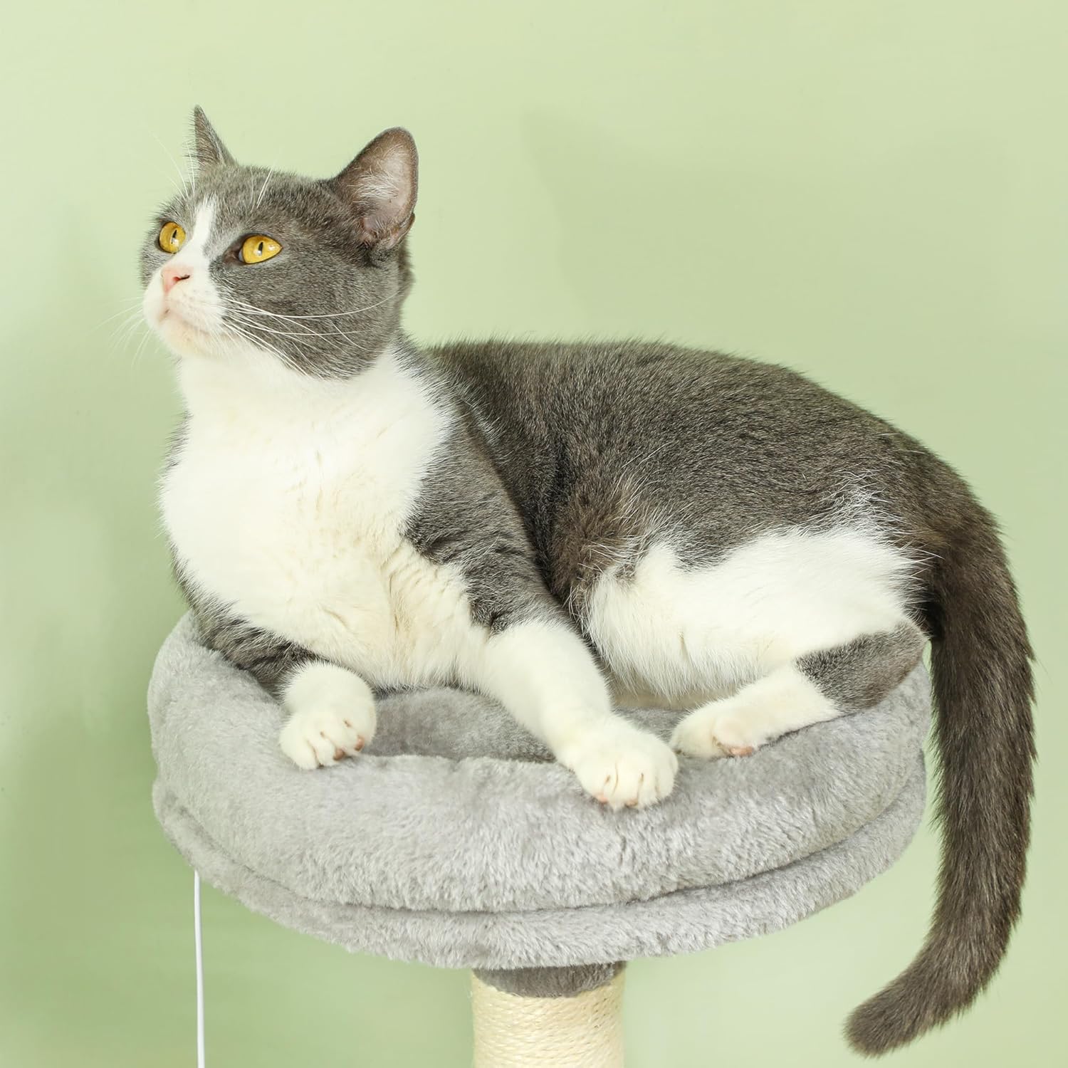 CARLA HOME Large Cat Tree Tower for Indoor Cats w/ Plush Perch, Cat Condo