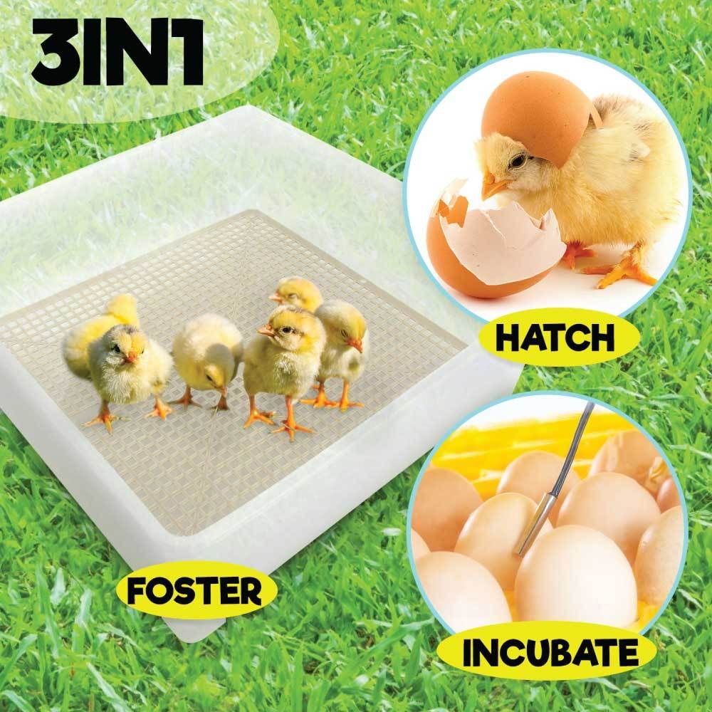 Rooster Farms Electric 112 Egg Incubator + Accessories for Chicken Quail Duck