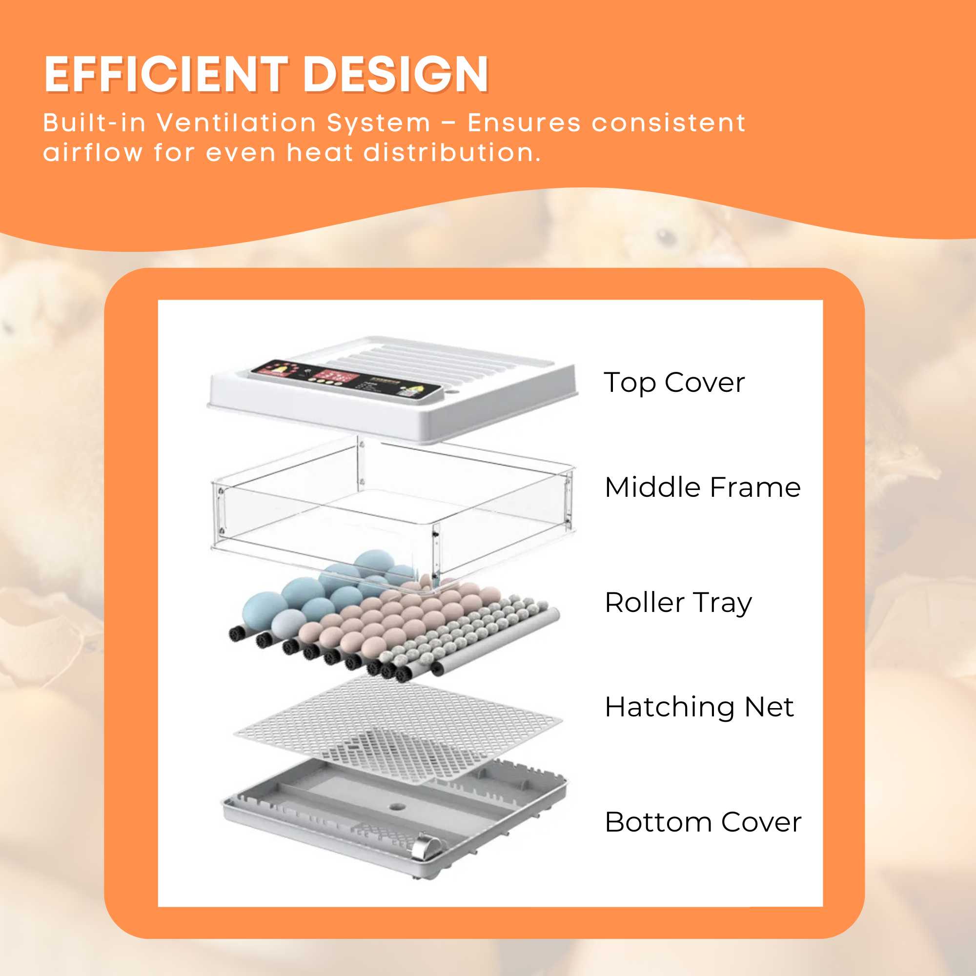 Automatic 48 Egg Incubator - Electric Digital Turning Chicken Quail Duck