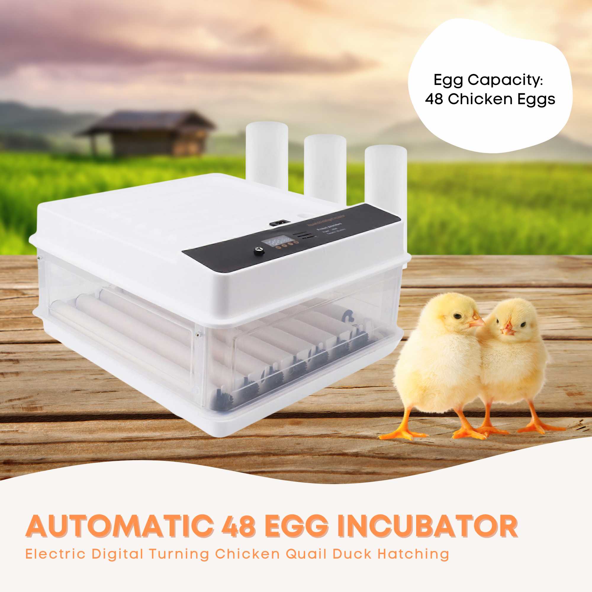 Automatic 70 Egg Incubator - Electric Digital Turning Chicken Quail Duck