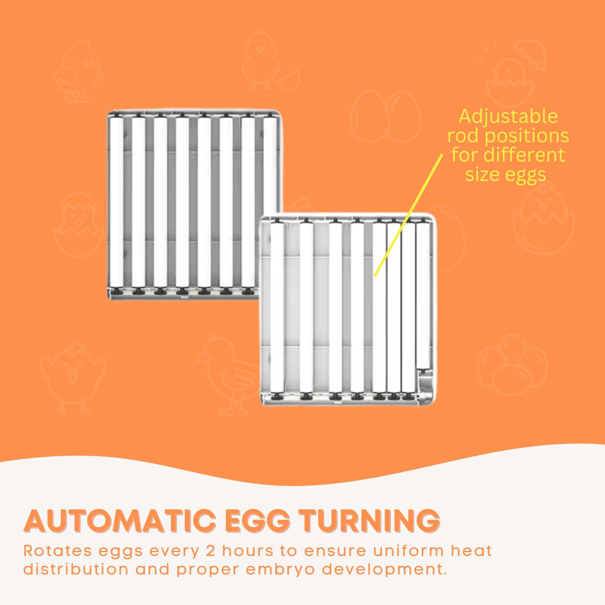Automatic 70 Egg Incubator - Electric Digital Turning Chicken Quail Duck