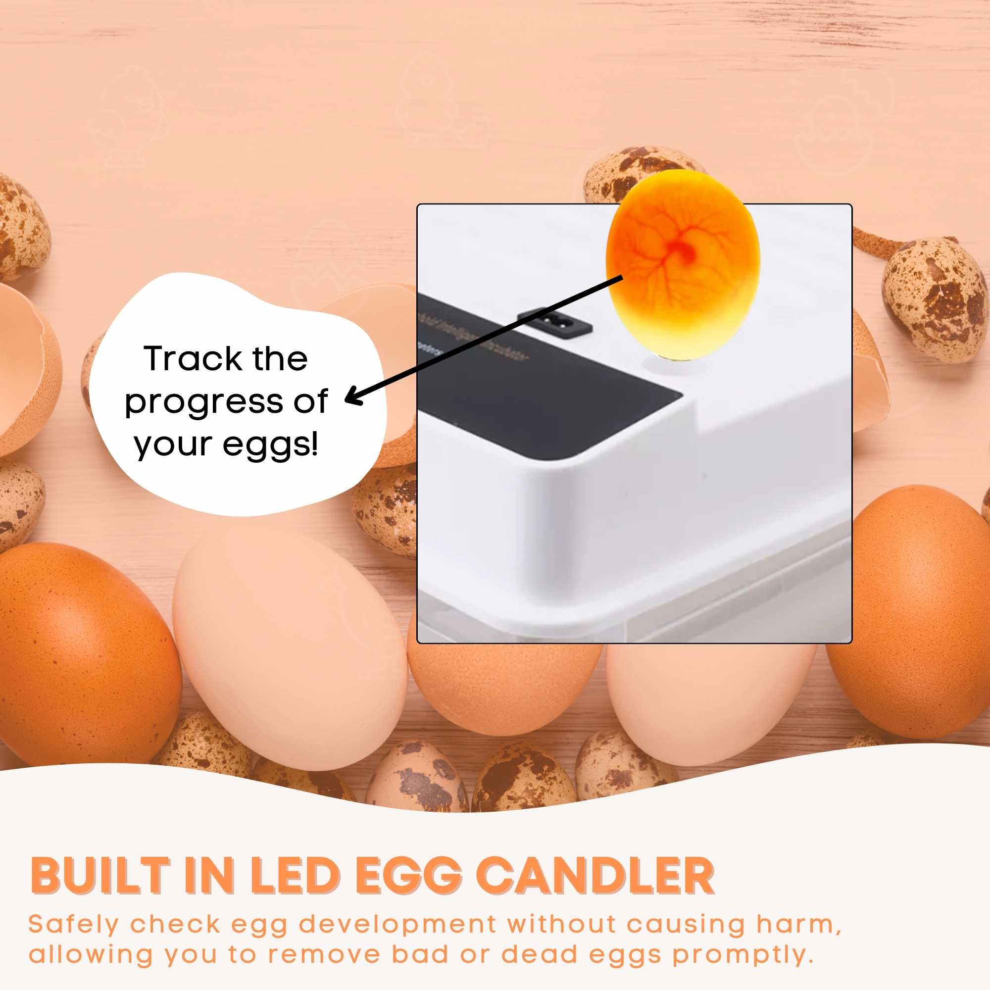 Automatic 70 Egg Incubator - Electric Digital Turning Chicken Quail Duck