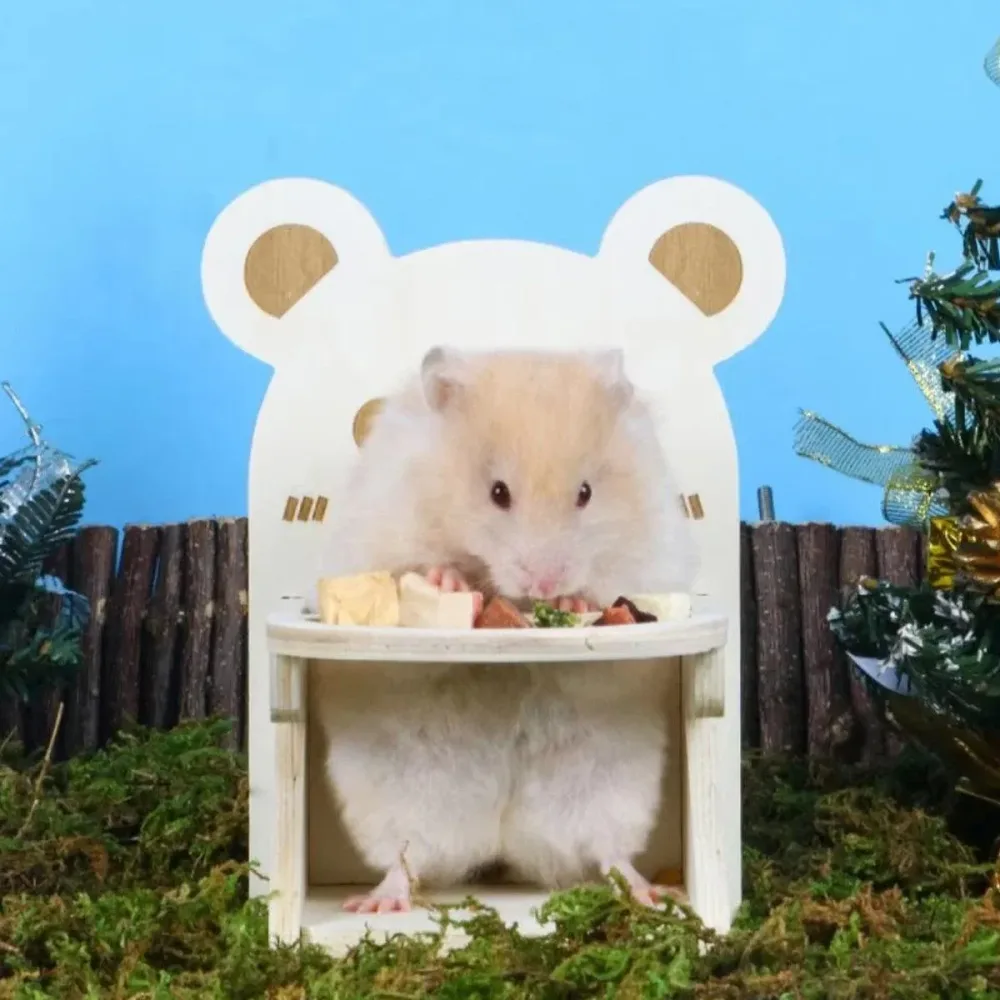 Hamster Critter Dining Chair Food Table Small Animal Feeding Table and Chair Set