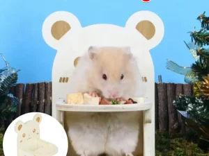 Hamster Critter Dining Chair Food Table Small Animal Feeding Table and Chair Set