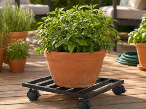 Green Fingers Plant Pot Trolleys 3pcs 32cm Galvanized Steel Lockable Wheels Roll