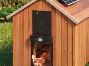 Giantz Automatic Chicken Coop Door 37cm Solar Powered Smart App Control Black