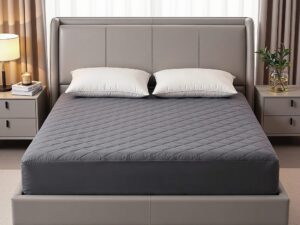 Giselle Water-Resistant Mattress Protector Microfiber 360° Fit Queen
