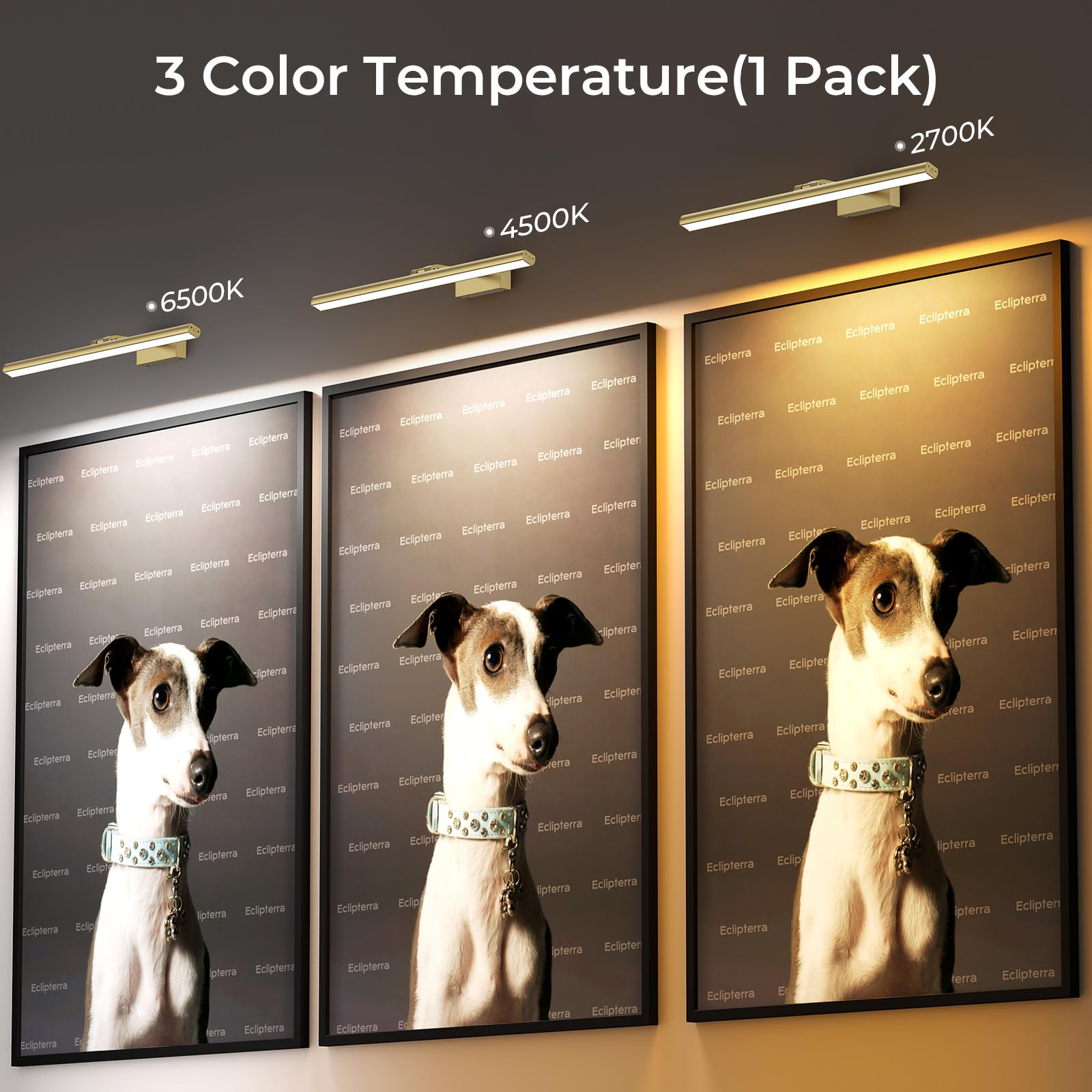 Wireless Picture Lights for Wall, Battery Operated Wall Light for Painting