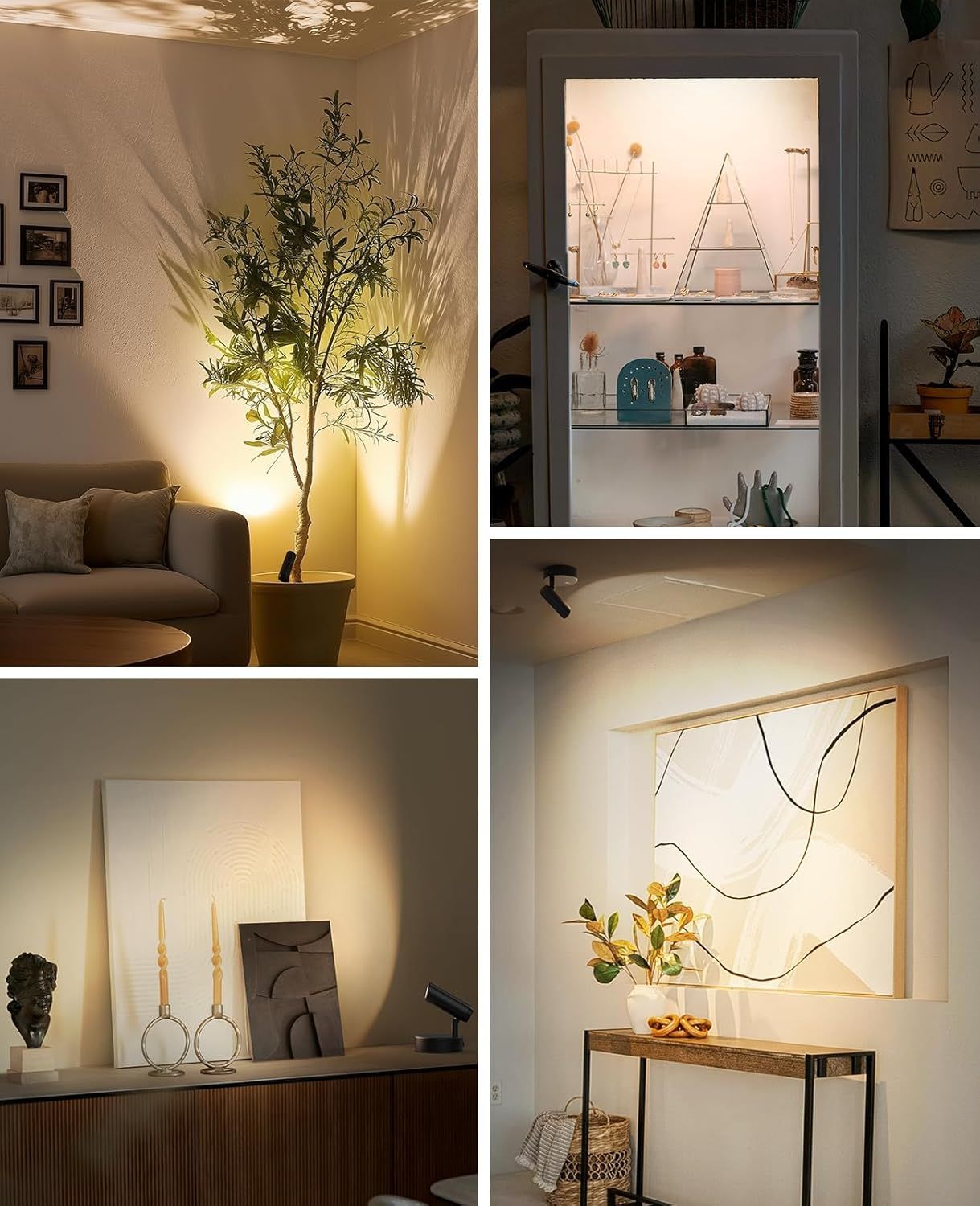 Spotlights Indoor, No-Glare Rechargeable Floor Can Light for Plants w/ Remote