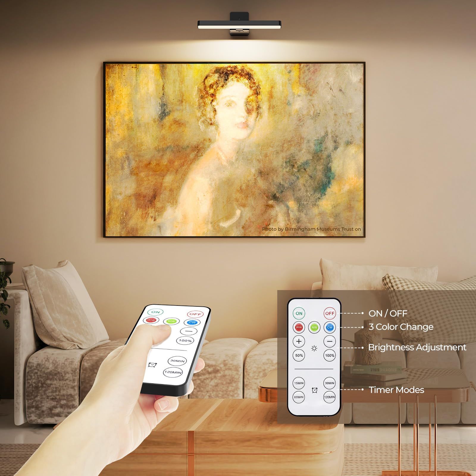 Rechargeable LED Picture Light, Black Cordless Wall Light w/ Remote Control, 3