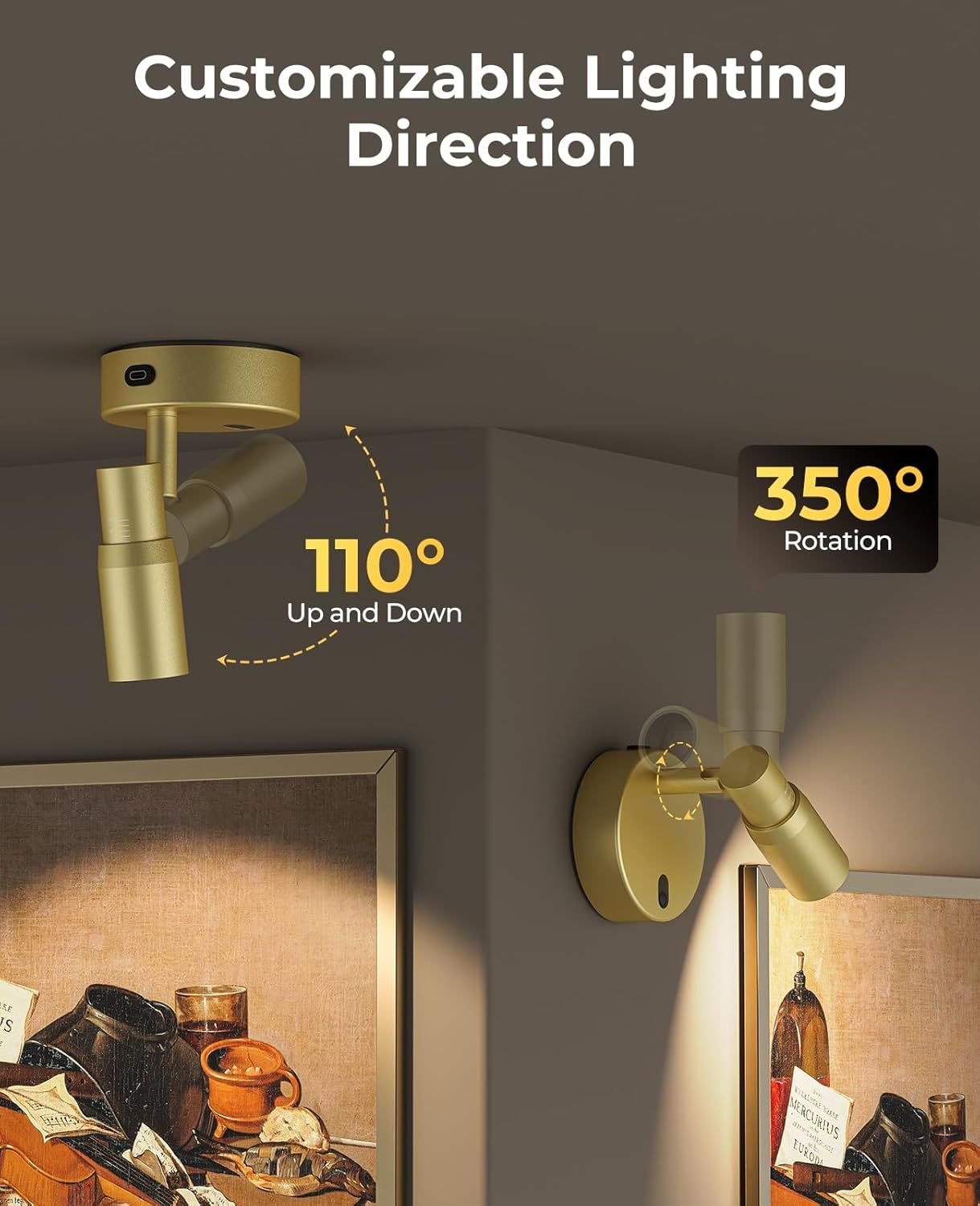 Spot Lights Indoor, Rechargeable Picture Light w/ Remote, Dimmable CCT Spotlight
