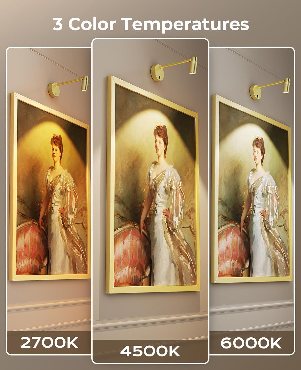 Picture Light for Wall, Battery Operated Art Light for Paintings CCT Dimmable