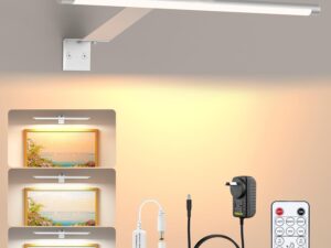 Picture Lights for Wall Plug in or Hardwired,3000K Warm White Dart Board Lights