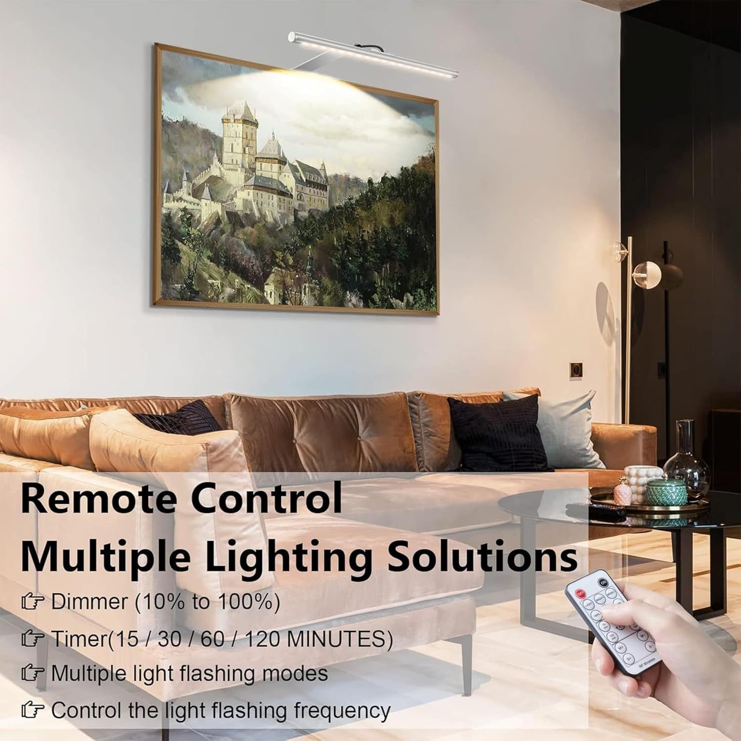 Picture Lights for Wall Plug in or Hardwired,3000K Warm White Dart Board Lights