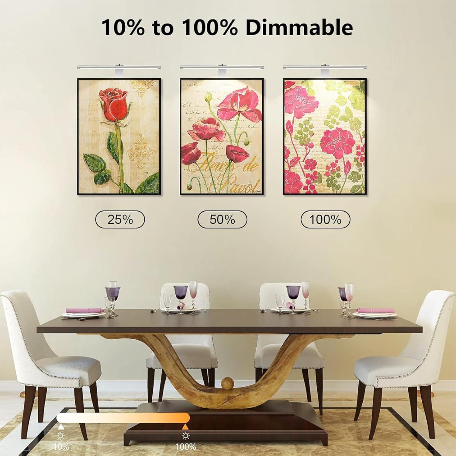Picture Lights for Wall Plug in or Hardwired,3000K Warm White Dart Board Lights