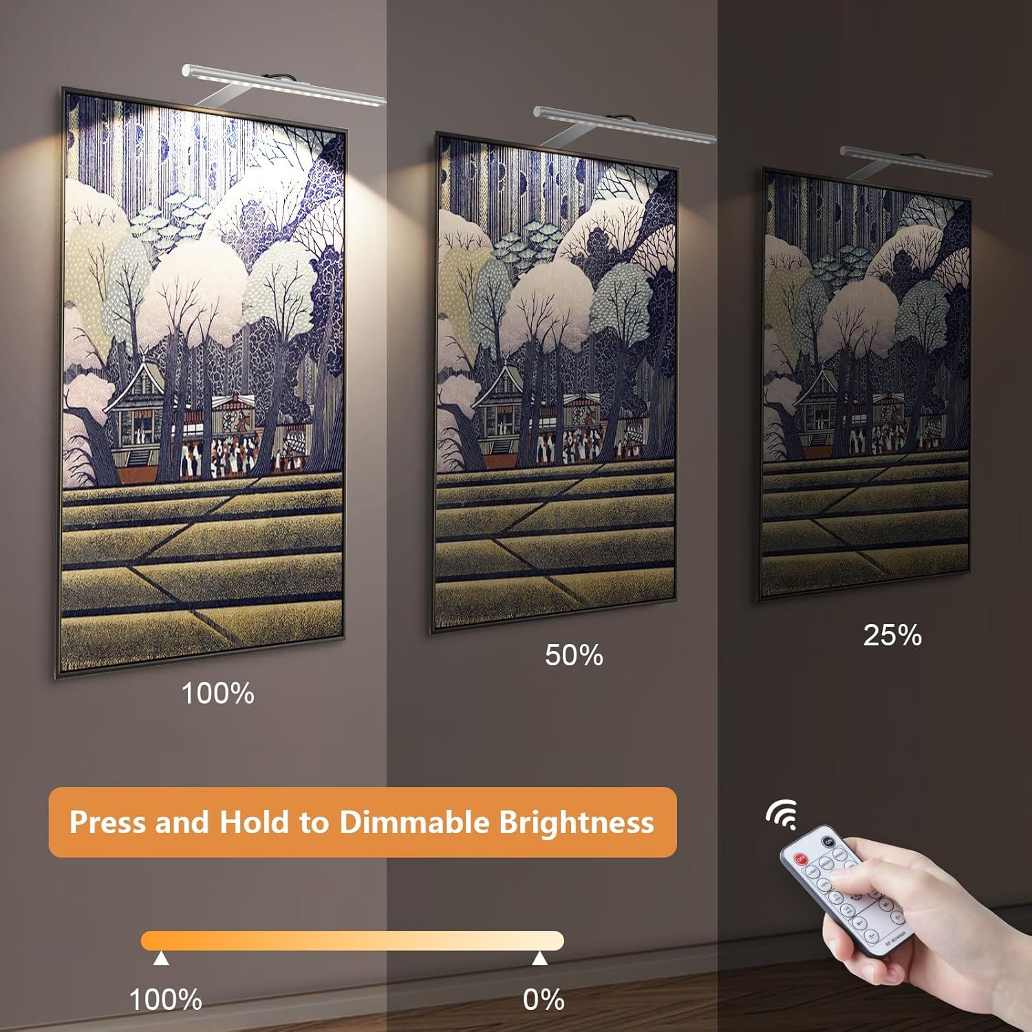 Picture Lights for Wall Plug in or Hardwired,3000K Warm White Dart Board Lights