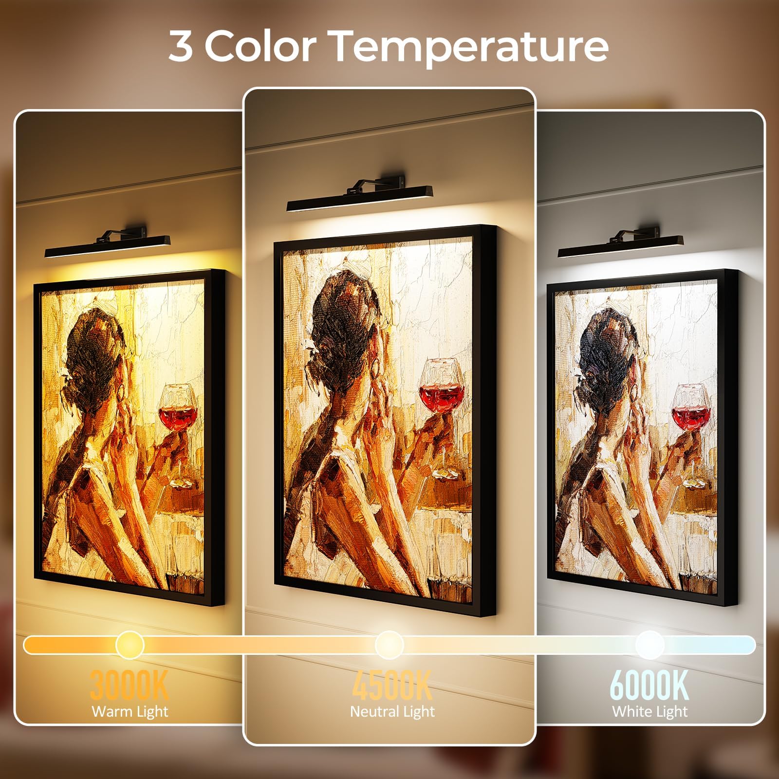 Wall Picture Light, 24in Battery-Powered Gallery Light for Artwork, CCT Dimmable