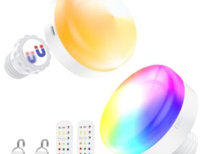 Battery Operated Light Bulbs, 5000mAh Rechargeable Light Bulb 2pc w/ Remote, 3