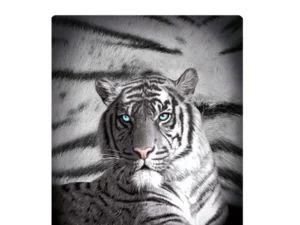 Just Home Blue Eyes Stripes Tiger Polar Fleece Throw Rug