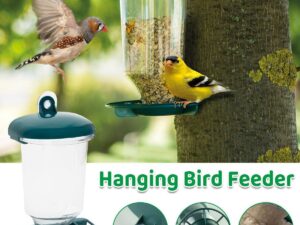 Clear Plastic Automatic Bird Feeder Suspended Suction Cup Feeder with Cover
