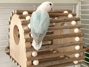 Wooden Bird Nest Durable Indoor Outdoor Garden Decor for Birds Sparrow Parrot