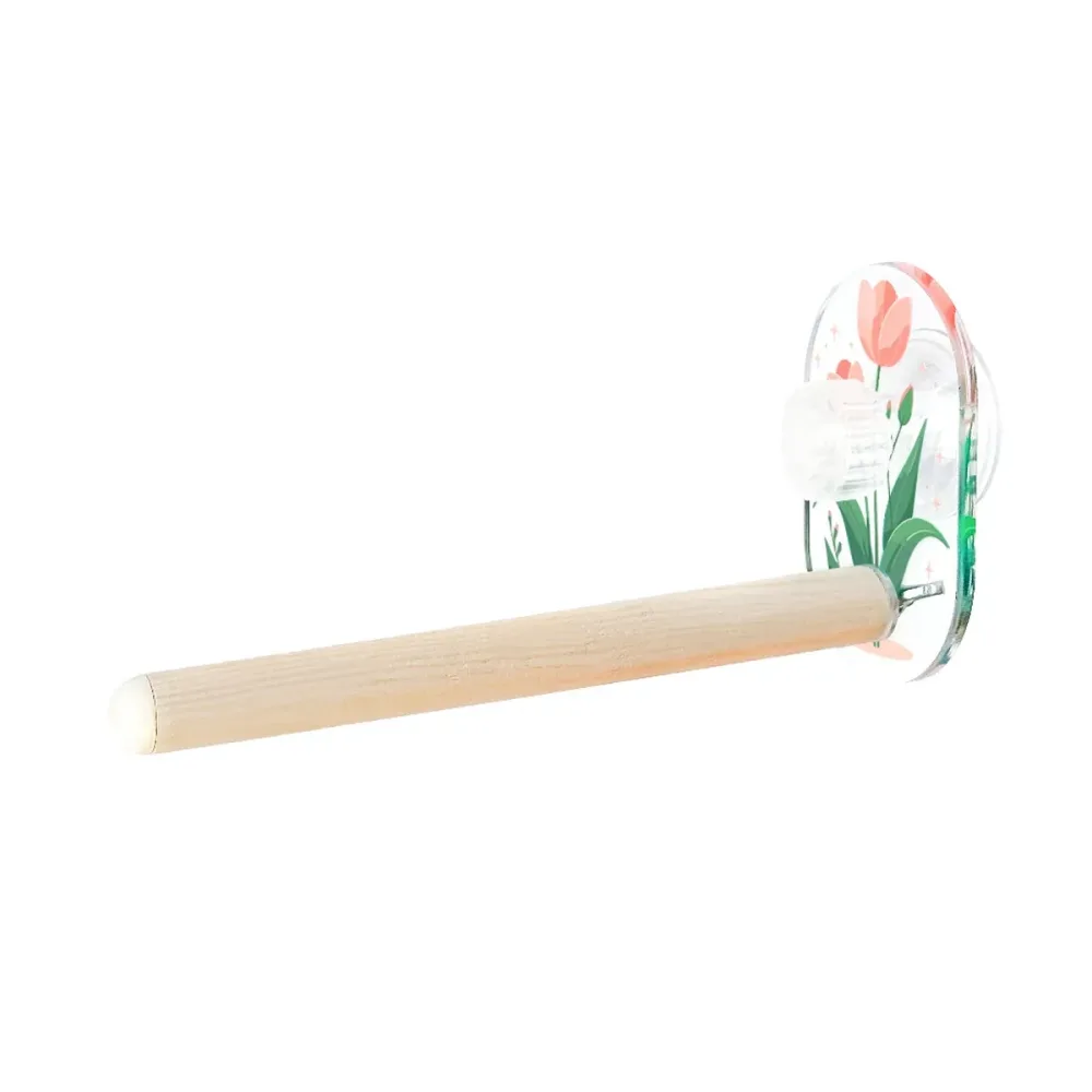 Parrot Acrylic Suction Cup Perch Pet Toy Non Slip for Small Medium Parrots