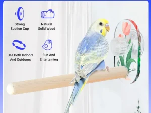 Parrot Acrylic Suction Cup Perch Pet Toy Non Slip for Small Medium Parrots