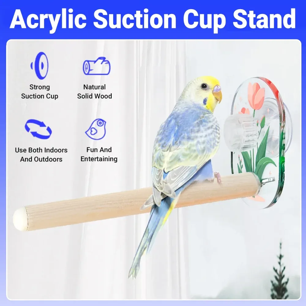 Parrot Acrylic Suction Cup Perch Pet Toy Non Slip for Small Medium Parrots