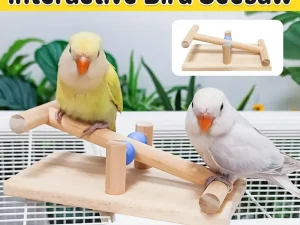 Interactive Bird Seesaw for Small Medium Birds Cage Toy Training Play Equipment