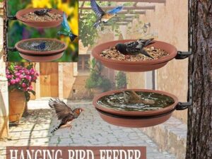 Garden Charm Versatile Hanging Bird Feeder and Bath Tray Plastic Outdoor