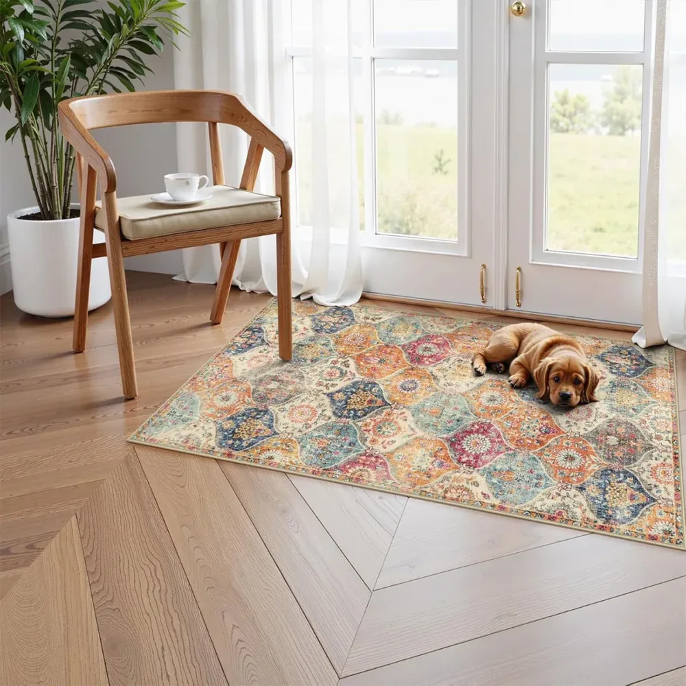 Household Floor Mats 2 pc Set Non Slip Water Absorbent Dust-Proof Floor Mat