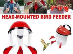 Outdoor Head Mounted Bird Feeder Portable Helmet Bird Feeder Wild Birds Feeding