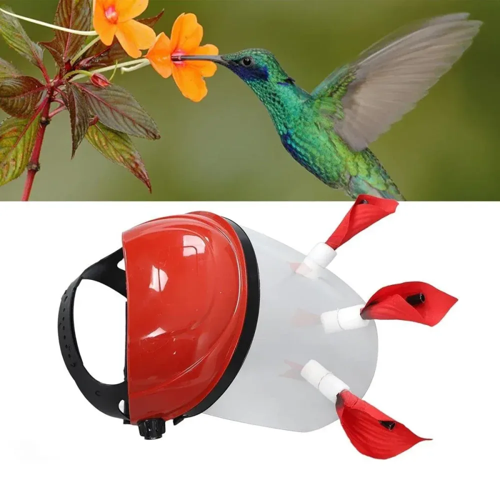 Outdoor Head Mounted Bird Feeder Portable Helmet Bird Feeder Wild Birds Feeding
