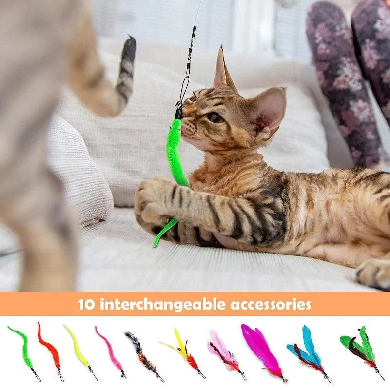 12PCS Cat Feather Teaser Wand Set Interactive Toy for Kittens and Cats Gift