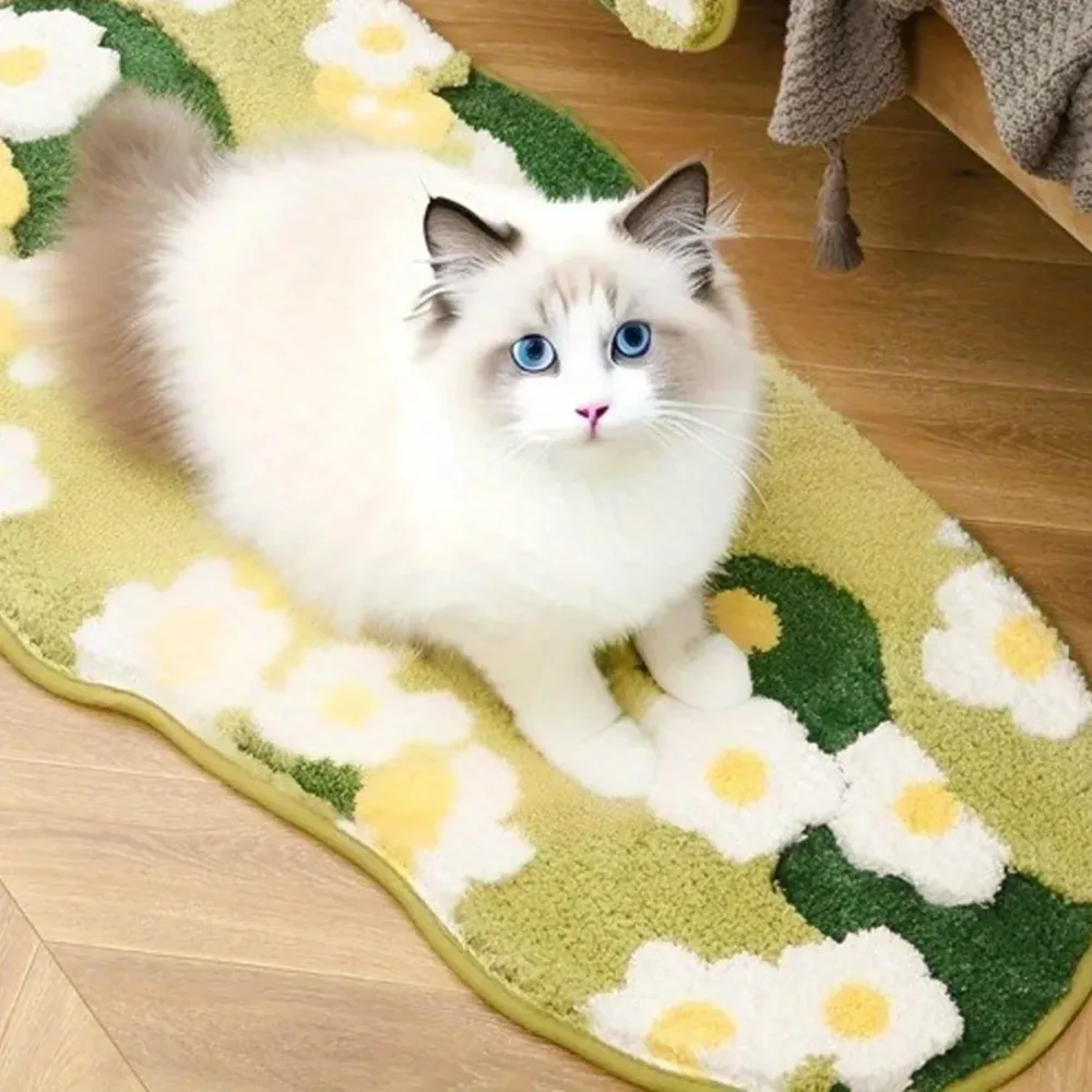 Carpet Irregular shaped Hall Pet Floor Mat Non Slip for Living Room Entryway