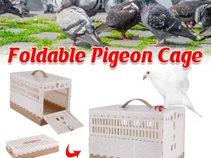 Pigeon Cage Foldable Plastic Homing Pigeon Crate Carrier Training Transport Box