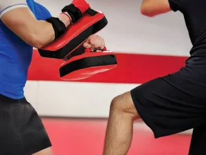 2 x Thai Boxing Punch Focus Pad Mitts Training Strike Shields Set
