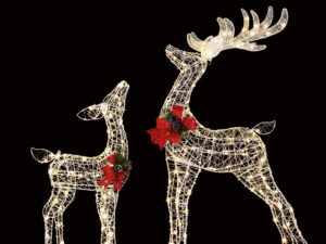 Jingle Jollys Christmas Lights 2pcs Reindeer Set Fairy Light 170 LED Decorations