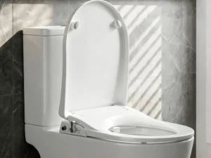 Cefito Non Electric Bidet Toilet Seat D-Shape Dual Nozzle Soft Close WaterMark