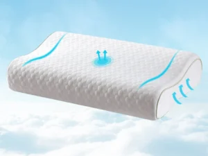 Giselle Memory Foam Pillow Contour Neck