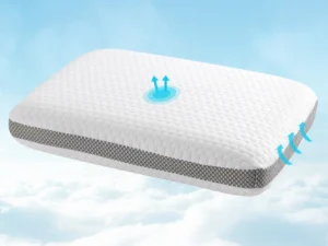 Giselle Memory Foam Pillow