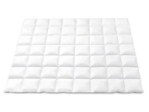 Giselle Bedding 700GSM Duck Down Feather Quilt Duvet Doona Winter Blanket Double