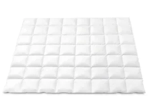 Giselle Bedding 800GSM Goose Down Feather Quilt Winter Blanket Duvet Comforter