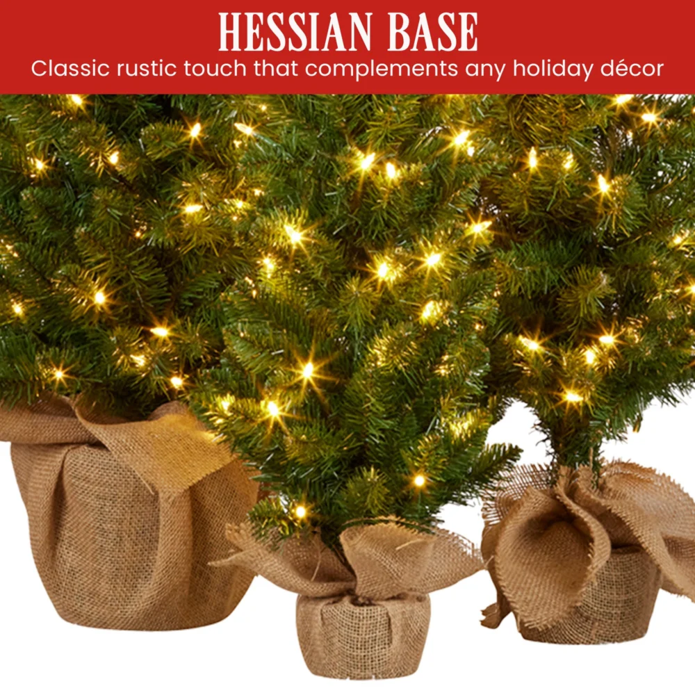 Christabelle 3pc Pre-Lit Christmas Trees Green Pine w/LED Lights, Hessian Base &