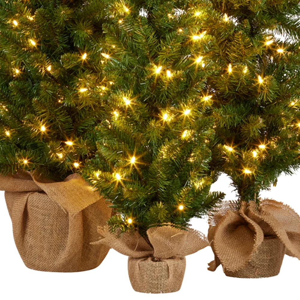 Christabelle 3pc Pre-Lit Christmas Trees Green Pine w/LED Lights, Hessian Base &