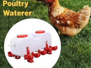 10L Chicken Poultry Automatic Drinking Tank Drinker Feeding Pot Water Dispenser